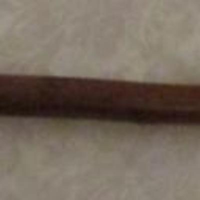 Wood Eagle cane