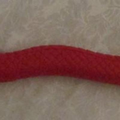 Red Plastic Dragon cane