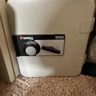 Sentry 1250 Safe