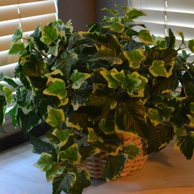 Greenery