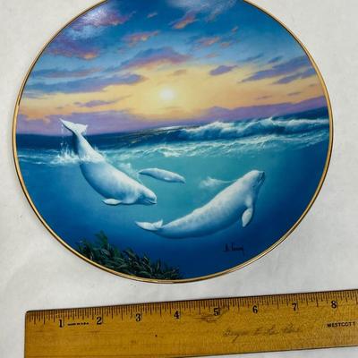 White Whale of the North Collector Plate Beluga Whales A Casay