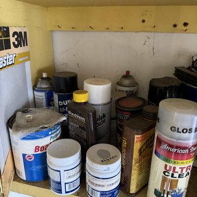 Paint & Solvents