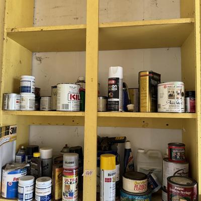 Paint & Solvents