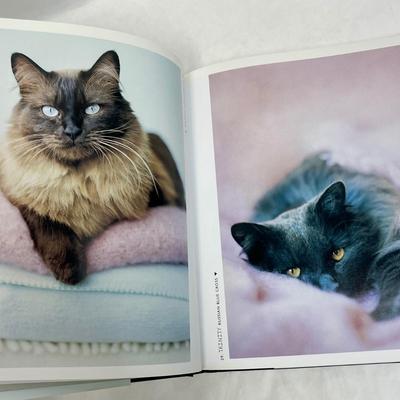 Cat Cataclysms Hardcover Book
