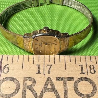 Nelsonic watch