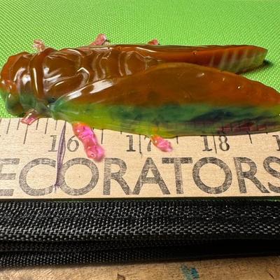 Acrylic Cicada