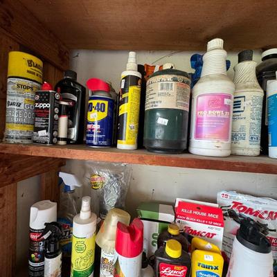 Cleaning and outdoor chemicals