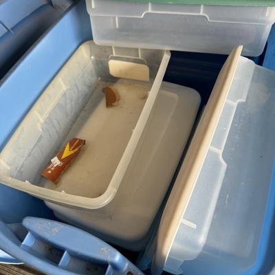 Totes and old glass medicine bottles