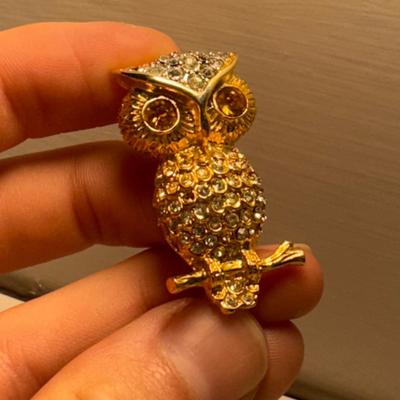 Assortment of Necklaces and Brooches (GB-DZ)