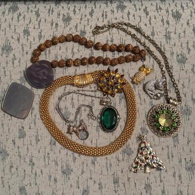 Assortment of Necklaces and Brooches (GB-DZ)