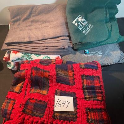 Blanket Lot