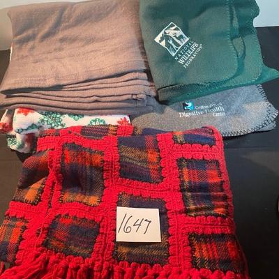 Blanket Lot