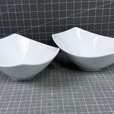 2 Ovenware Porcelain Dishes 
