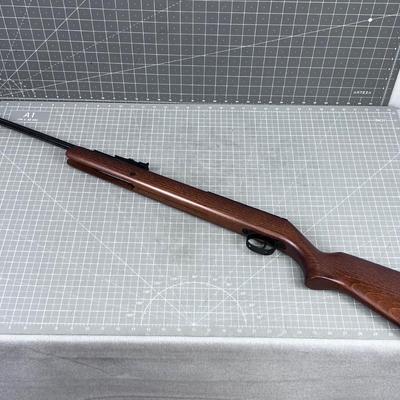 RWS High Performance Adult Air Riffle 