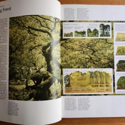 International Book of Wood