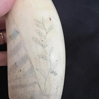 Etched Art on Bone (DR-MK)