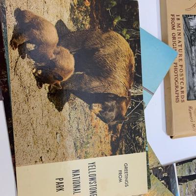 Vintage Postcards Lot