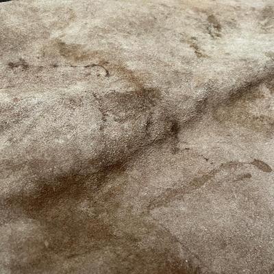 Lot 186 Leather Chaps