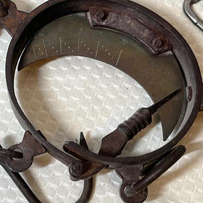 Lot 202 Antique scales