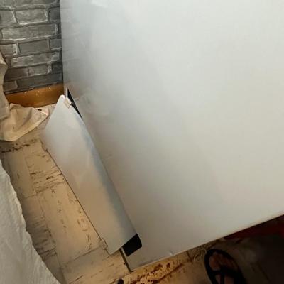 Lot 207 Ward's Freezer