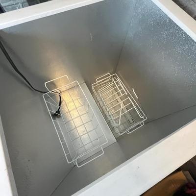 Lot 207 Ward's Freezer
