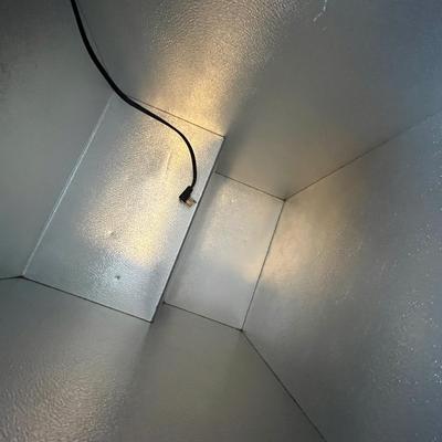 Lot 207 Ward's Freezer