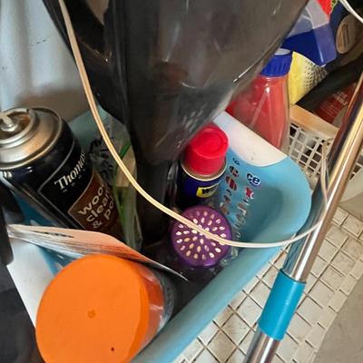 Lot 223 House hold cleaning supplies