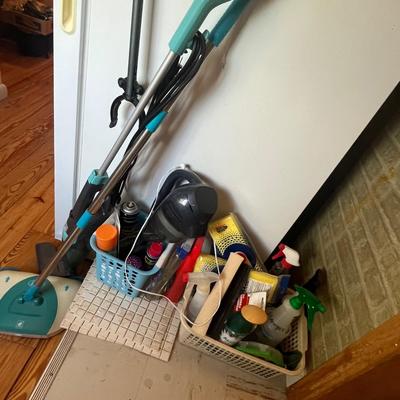 Lot 223 House hold cleaning supplies