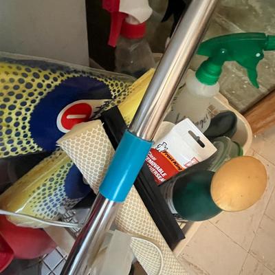 Lot 223 House hold cleaning supplies