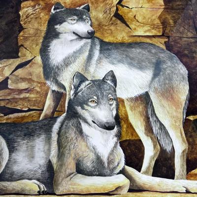 Water Color Under Glass Framed Signed DANE of Wolves