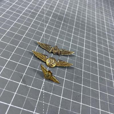 American Airlines WINGS 