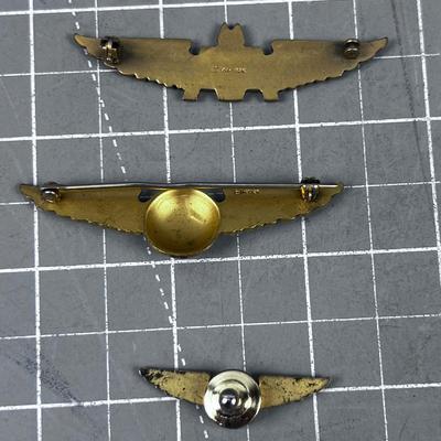 American Airlines WINGS 