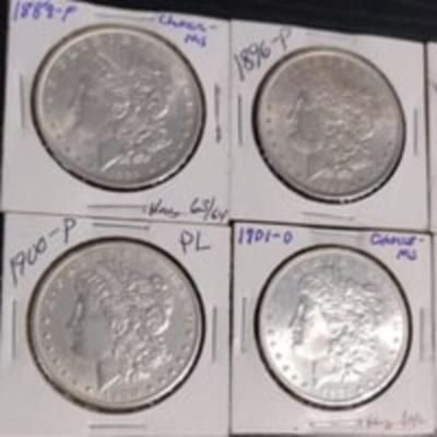 1903-P Magnificent Morgan Silver Dollar Lot; Choice MS/BU *NO JUNK COINS*