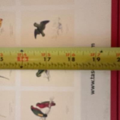 Ready to Frame Prints (42) Forty-Two of Parrots