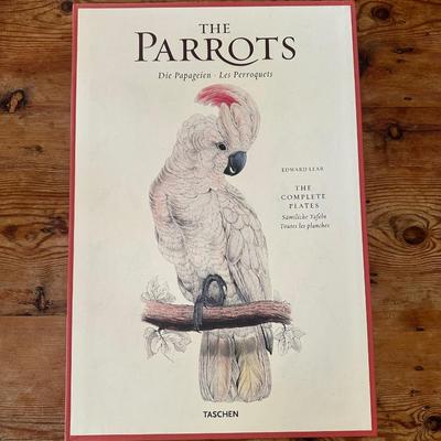 Ready to Frame Prints (42) Forty-Two of Parrots