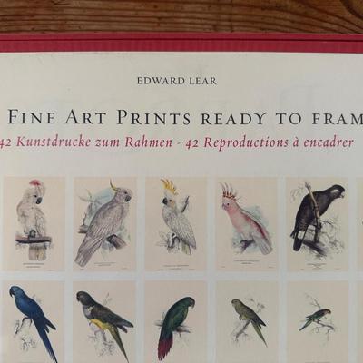 Ready to Frame Prints (42) Forty-Two of Parrots