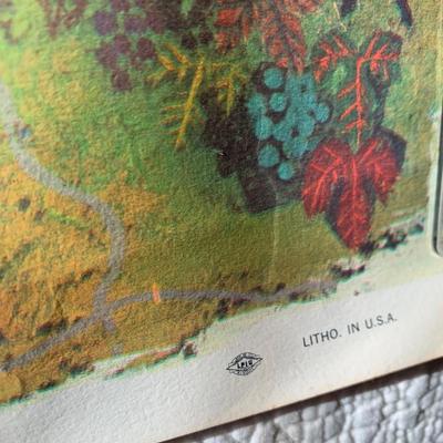 Mid Century Wine Board Posters & More