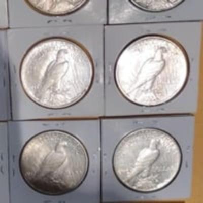 Morgan &Peace Dollar Lot "High Grade Coin Lot" Full Feathering