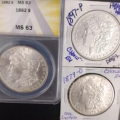 1891-P Morgan Silver Dollar Lot; Magnificent Specimens, *NO JUNK COINS*!