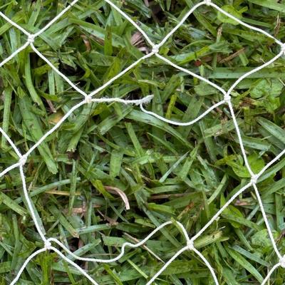SEINE NET