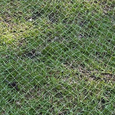 SEINE NET