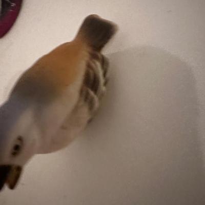 BIRD LOT