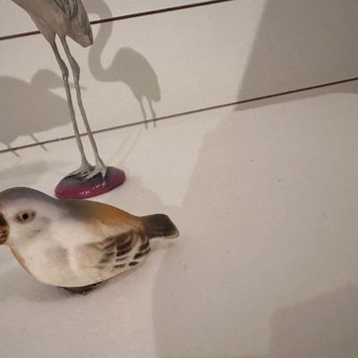 BIRD LOT