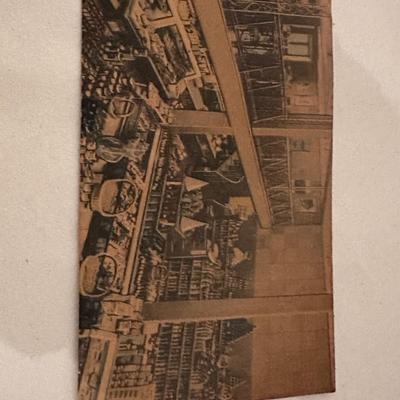 VINTAGE EDISTO POSTCARD LOT