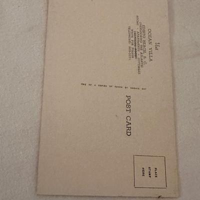 VINTAGE EDISTO POSTCARD LOT