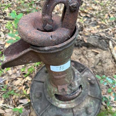 WELL HAND PUMP