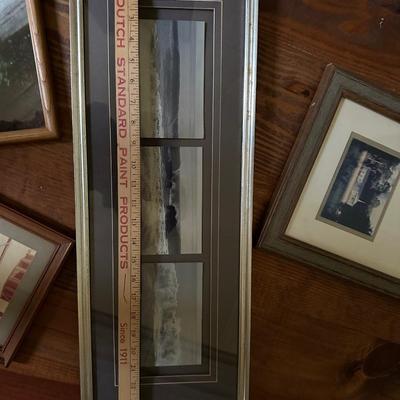 FRAMED PHOTOGRAPH LOT EDISTO