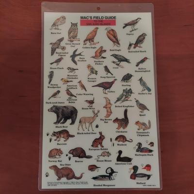 Field Guides and Other Birding Books (O-BBL)
