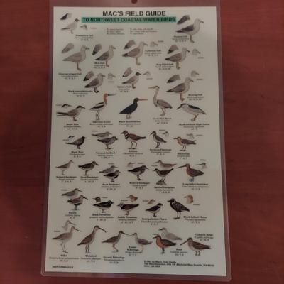 Field Guides and Other Birding Books (O-BBL)