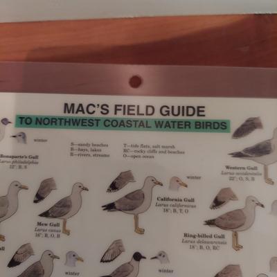 Field Guides and Other Birding Books (O-BBL)